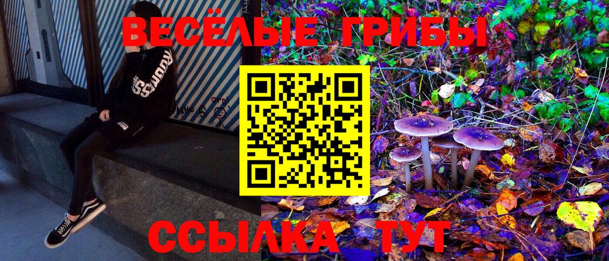 Галлюциногенные грибы мицелий Алексеевка