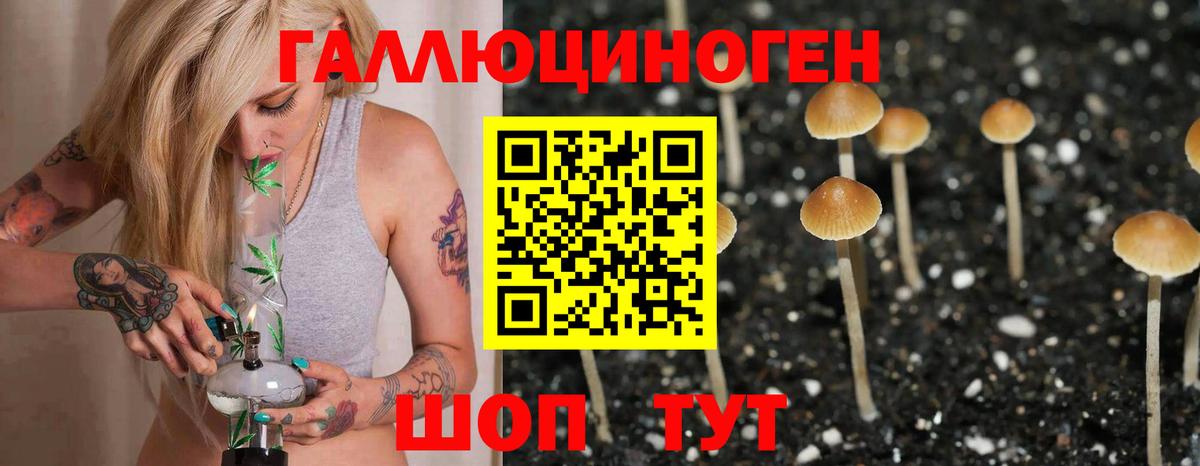 Псилоцибиновые грибы прущие грибы  Вход с VPN  Алексеевка 